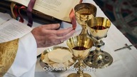 HOSTIE ROZMNOŻYŁY SIĘ NA OCZACH KAPŁANA! Cud Eucharystyczny w Thomaston!