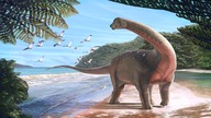 Latające gady, czyli paleontologiczne odkrycia dr Daniel Tyborow