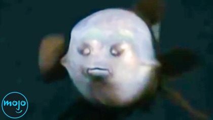 8 Sea Creature Mysteries That Will Freak You Out