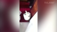 Best Fails of the Week 1 March 2016