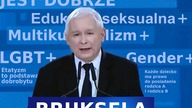 Dlaczego PiS ZŁAMAŁO OBIETNICE WYBORCZE ws.  polityki rodzinnej | K.  Przeszowski