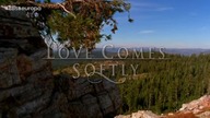 1* Miłość przychodzi powoli [Love Comes Softly] (2003) LektorPL