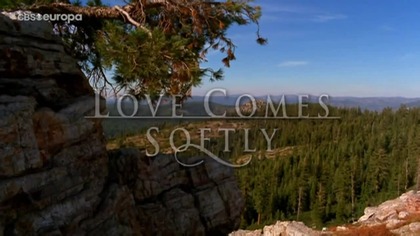 1* Miłość przychodzi powoli [Love Comes Softly] (2003) LektorPL