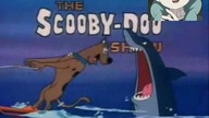 Scooby Doo jak sd sie byczyl 01