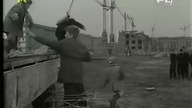 Zagubione uczucia(1957)