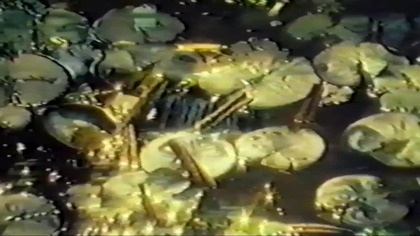 Zemsta Ninja..VID-1691988283999