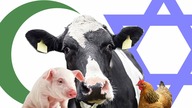 Wszyscy jemy mięso koszerne i halal.  Smutna prawda.