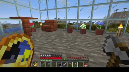 Tak...  Minecraft