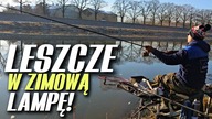 550 LESZCZE W ZIMOWĄ LAMPĘ! KLASYCZNY FEEEDER NA WROCŁAWSKIM KANALE ODRY!
