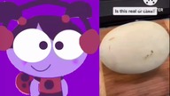 Ladybird Lu is reacting the Cake video compilation 2
