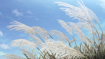 Yuru C4mp S02E02 Napisy PL