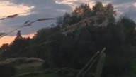 Natura prawdę ci powie...