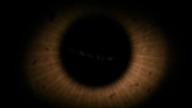 1956 The Black Sleep - WEB-Rip NapisyPL