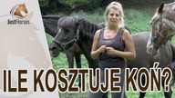 Ile kosztuje koń? Czyli jakiego konia kupić?