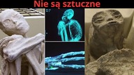 Szkielety z Peru, Hybrydy i Spisek w tle.  Nieznana Historia