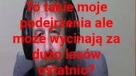 panie Krzysztof Woźniak a może wycinamy za dużo lasow