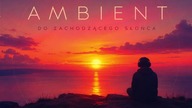 Szczupac - Ambient do zachodzącego słońca