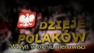 Dzieje Polak&oacute;w Wołyń w Ogniu Nienawiści.  Dokument 2008