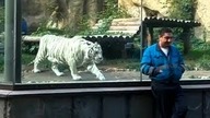 Momenty w Których Szkło Prawie Pękło