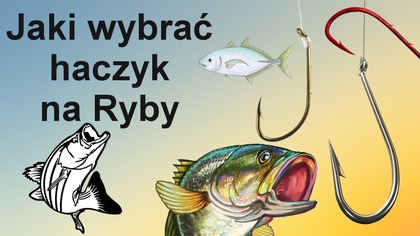 Jaki wybrać haczyk na ryby