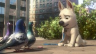 Piorun.  2008.  Dubbing.pl