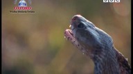 Wielka Encyklopedia Geografii - spot reklamowy (numer 1)