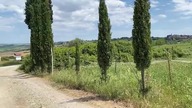 Tuscany Trail live - dzień 3 12:00