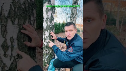 Sok z Brzozy #zdrowie #natura