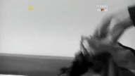 Wymazać Dawida Dokument 2009 PL480p