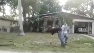 Best of FAILS Compilation