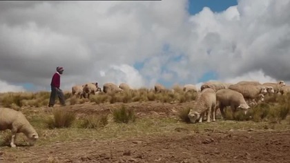 FILMBOXARTHOUSE - 22-12-2024 - Zapowiedzi, Identy