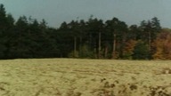 PannaZMGło