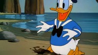 Kaczor Donald - Stare wygi