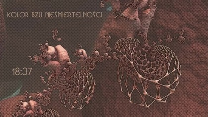 KRUQERA - KOLOR BZU NIEŚMIERTELNOŚCI
