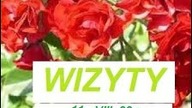 WIZYTY SOSNOWIEC 11 VIII 22