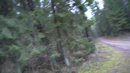 NAJBARDZIEJ SŁONY CHIPS NA ŚWIECIE !!!