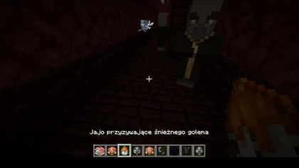 More chaos #minecraft #gaming #game #Short #Shorts #Lmao #Nether