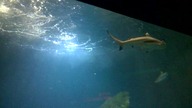 AFRYKARIUM WROCŁAW 13 08 2023 (8)