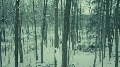 Orphan Black - S04E09 Lektor