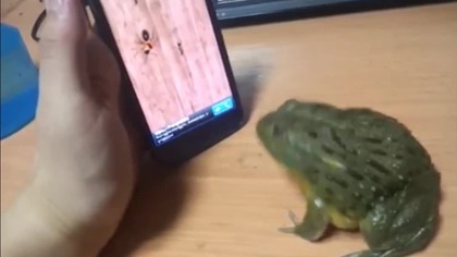 Gry są bardzo niebezpieczne 