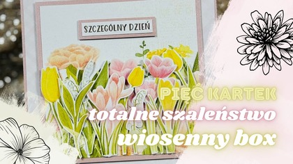 Pięć kartek na raz! | Maksuję mystery boxa 2/2025 od @AniaTworzy