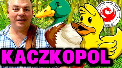 Co sądzę o powodzeniu biznesowym hodowli kaczek przez Palmowego Krzycha, Chemika & Spółka.