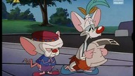 Pinky i Mózg S01E05 - Mózgolandia (LEKTOR)