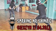 Sparing DESW Shinaiami / HEMA Sparring in Cieszyn, Poland 17.04.2011