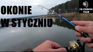 Okonie zimą // styczniowy spinning 2020