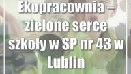 Ekopracownia  zielone serce szkoły w SP nr 43 w Lublinie