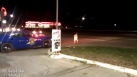 Policjant zastrzelił jelenia na ulicy