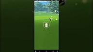 Eevee Community Day / Shiny Eevee Catch