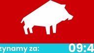WIELKI PRZEGLĄD YOUTUBE