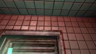 Penumbra Black Plague: Secret Room